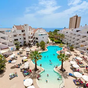 Paloma , Los Cristianos (Tenerife) Spanien